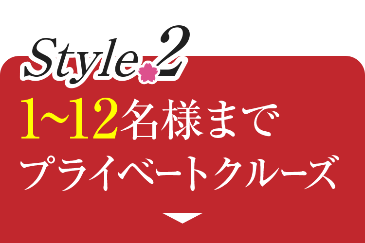 1～12名様まで貸切運航