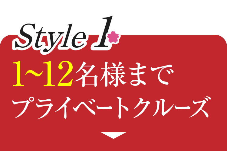 1～12名様まで貸切運航