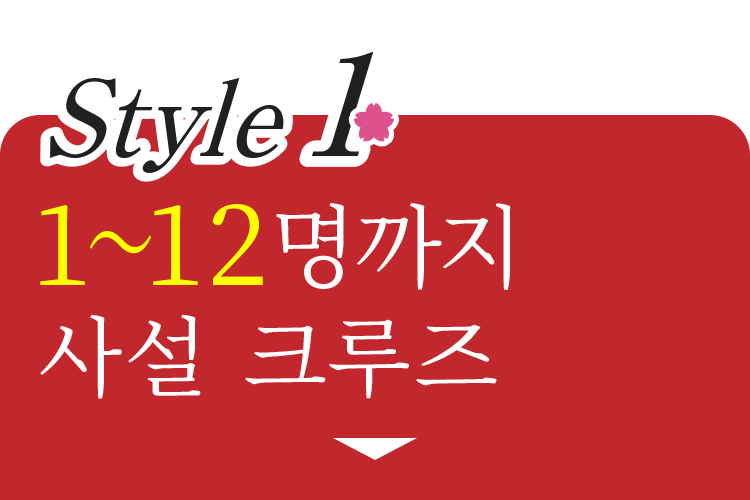 1～12名様まで貸切運航